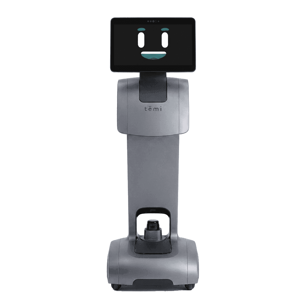 Temi V3